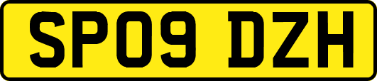 SP09DZH