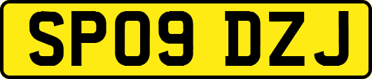 SP09DZJ