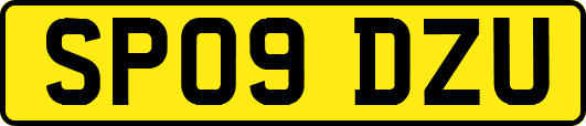 SP09DZU