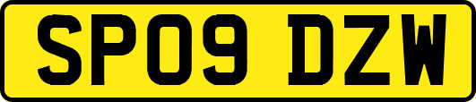 SP09DZW