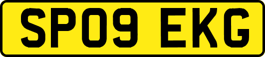 SP09EKG