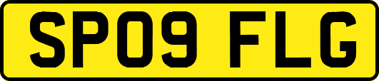 SP09FLG