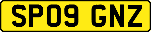 SP09GNZ