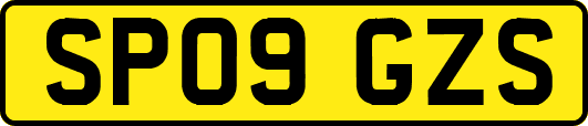SP09GZS
