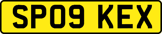 SP09KEX