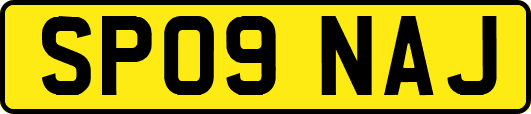 SP09NAJ