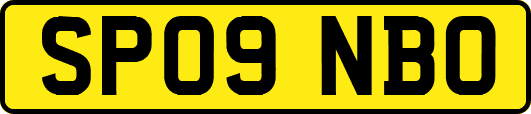 SP09NBO