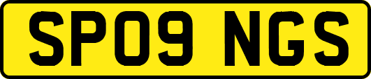 SP09NGS