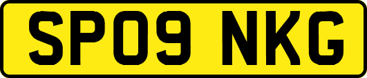 SP09NKG