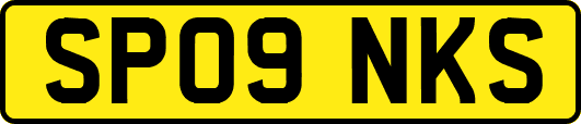 SP09NKS