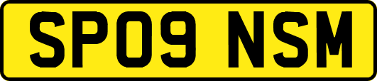 SP09NSM