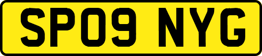SP09NYG