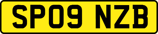 SP09NZB