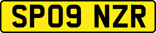 SP09NZR