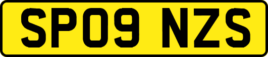 SP09NZS
