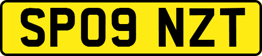 SP09NZT