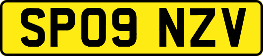 SP09NZV