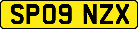 SP09NZX
