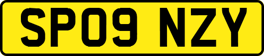SP09NZY