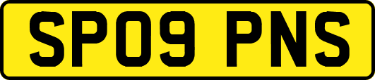 SP09PNS