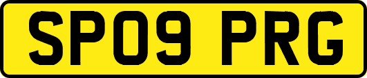 SP09PRG