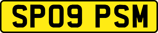 SP09PSM