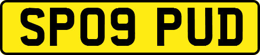 SP09PUD