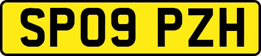 SP09PZH