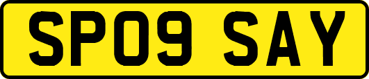 SP09SAY