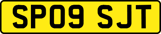 SP09SJT