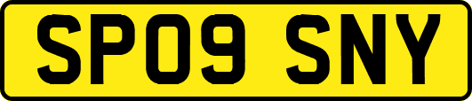 SP09SNY