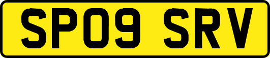 SP09SRV