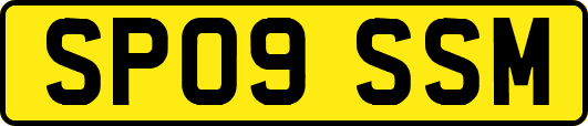 SP09SSM