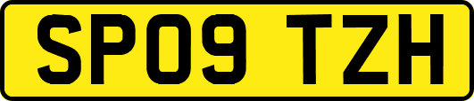 SP09TZH