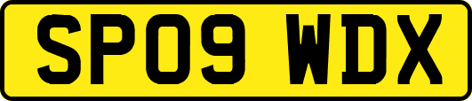 SP09WDX