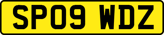 SP09WDZ