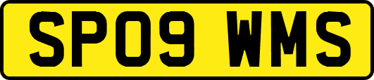 SP09WMS