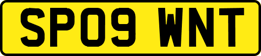 SP09WNT