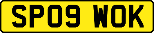 SP09WOK