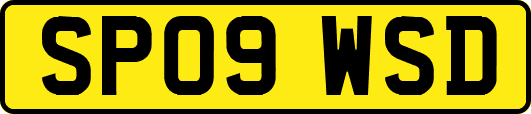 SP09WSD