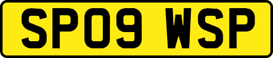 SP09WSP