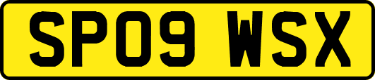 SP09WSX