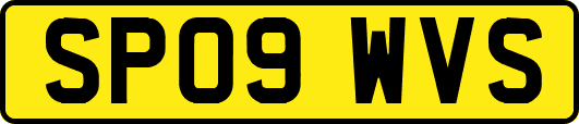 SP09WVS