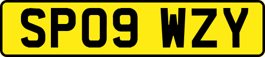 SP09WZY