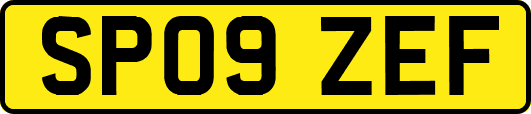 SP09ZEF