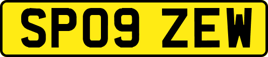 SP09ZEW