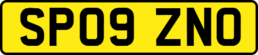 SP09ZNO