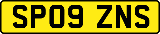 SP09ZNS