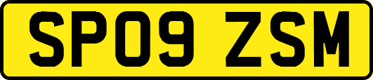 SP09ZSM