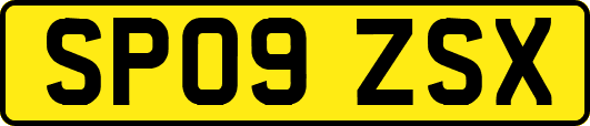 SP09ZSX